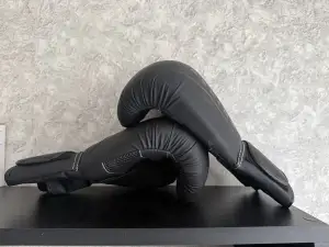 Перчатки боксерские 10 унций